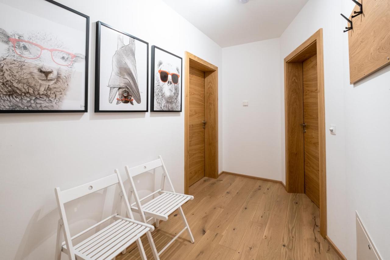 Taja Paznaun Penthouse Apartment See